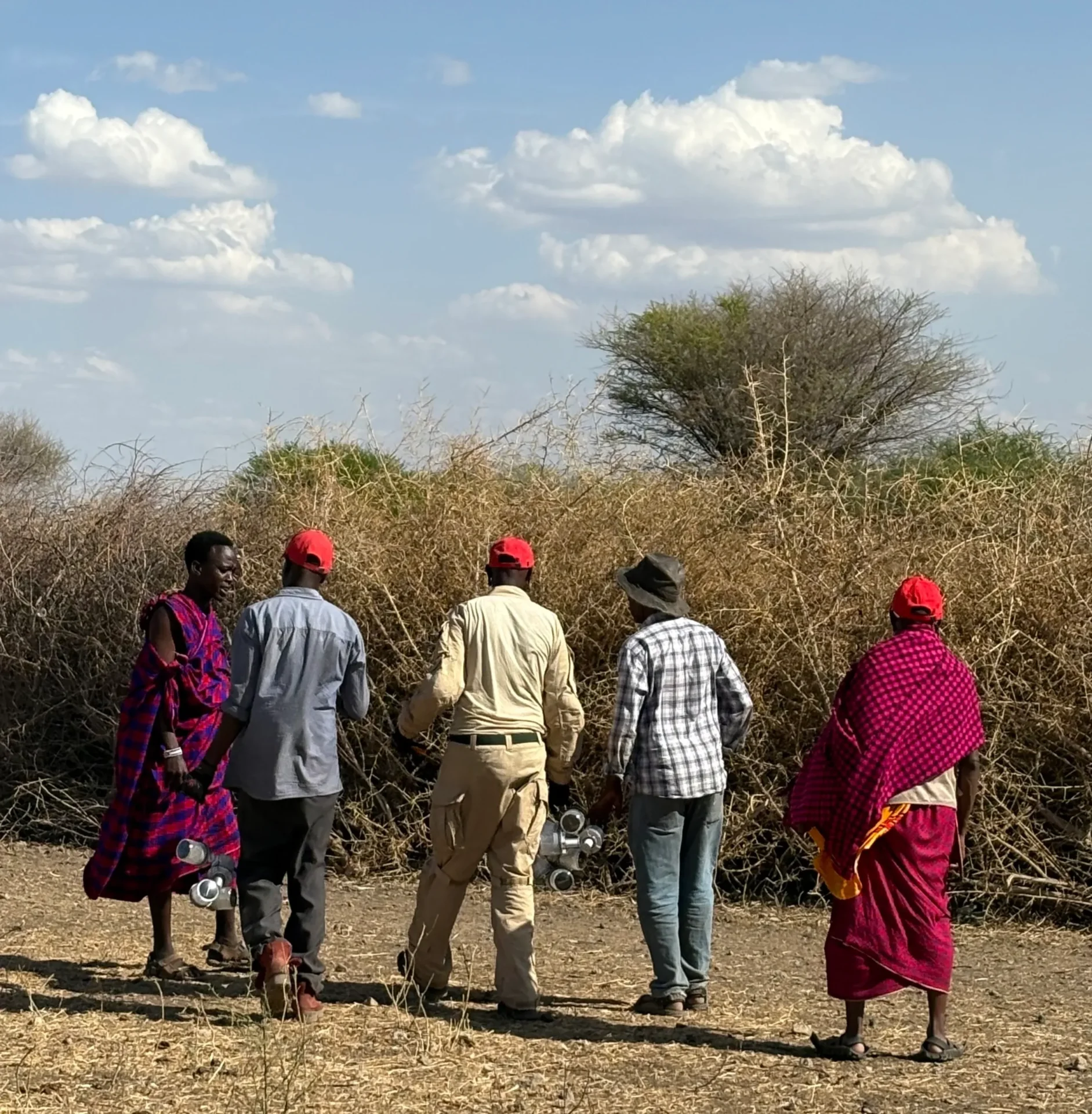 People walking in field under cloudy sky.