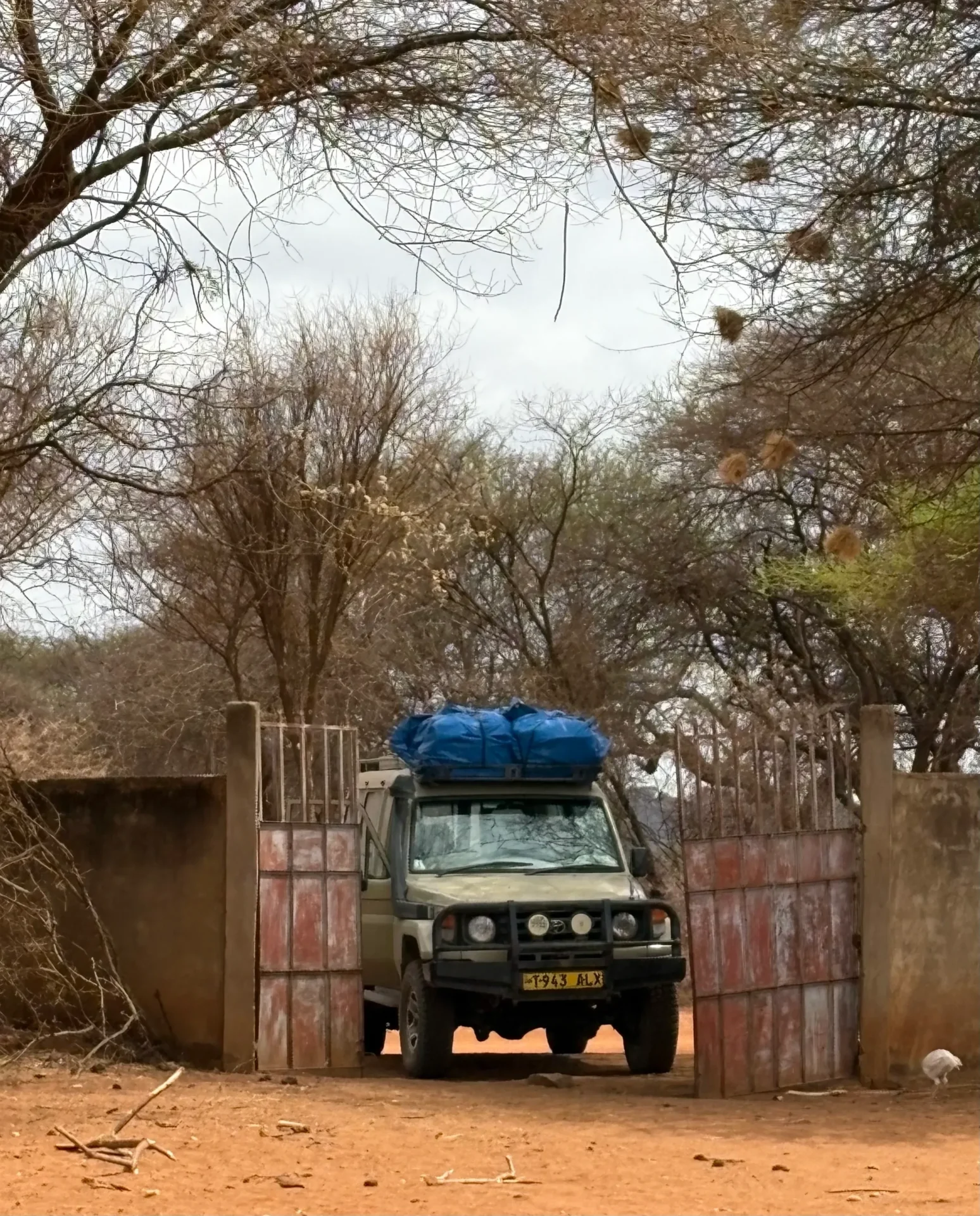 SUV exiting gate in a dry landscape.