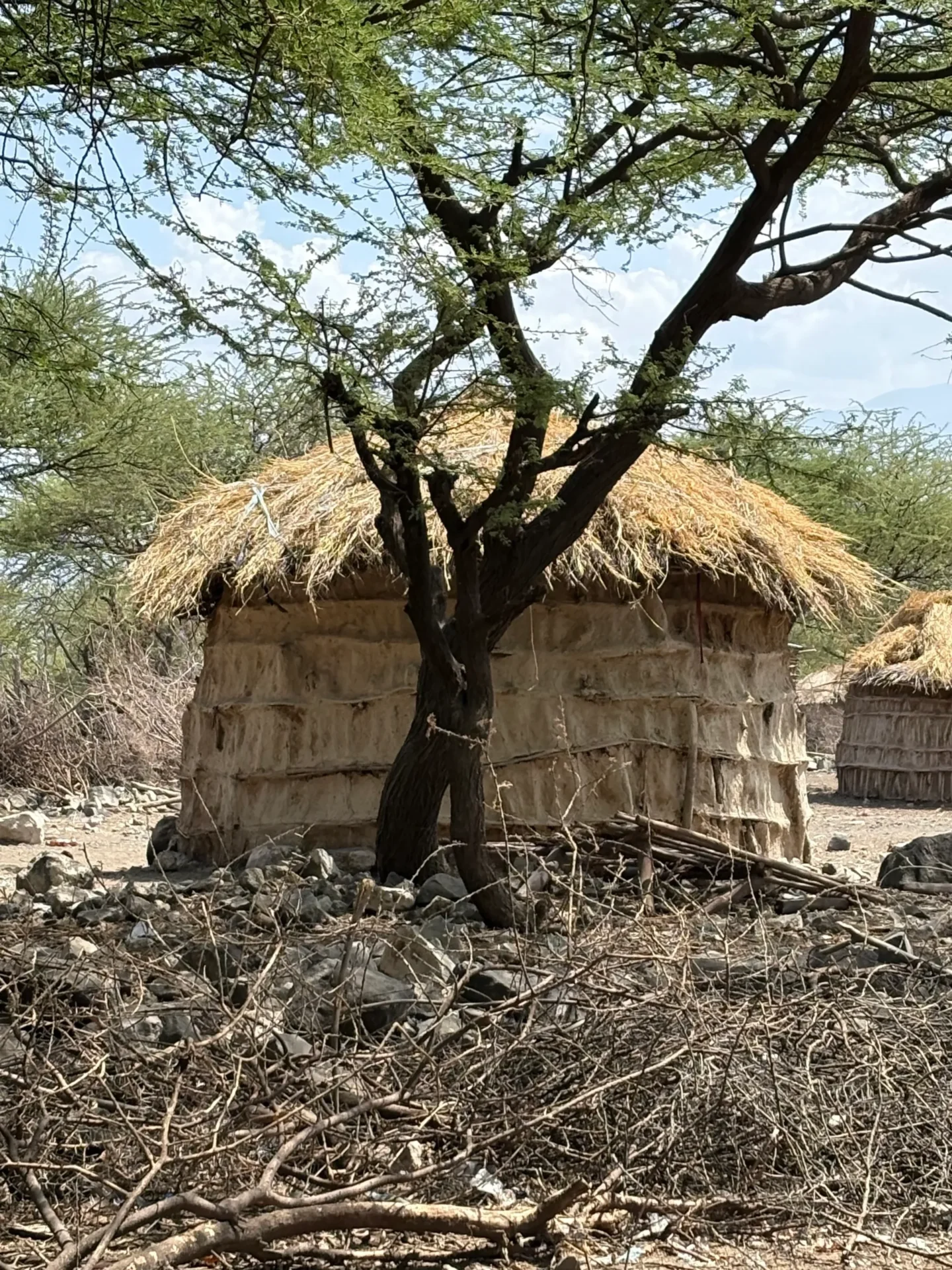 Traditional hut surrounded by trees and rocks.