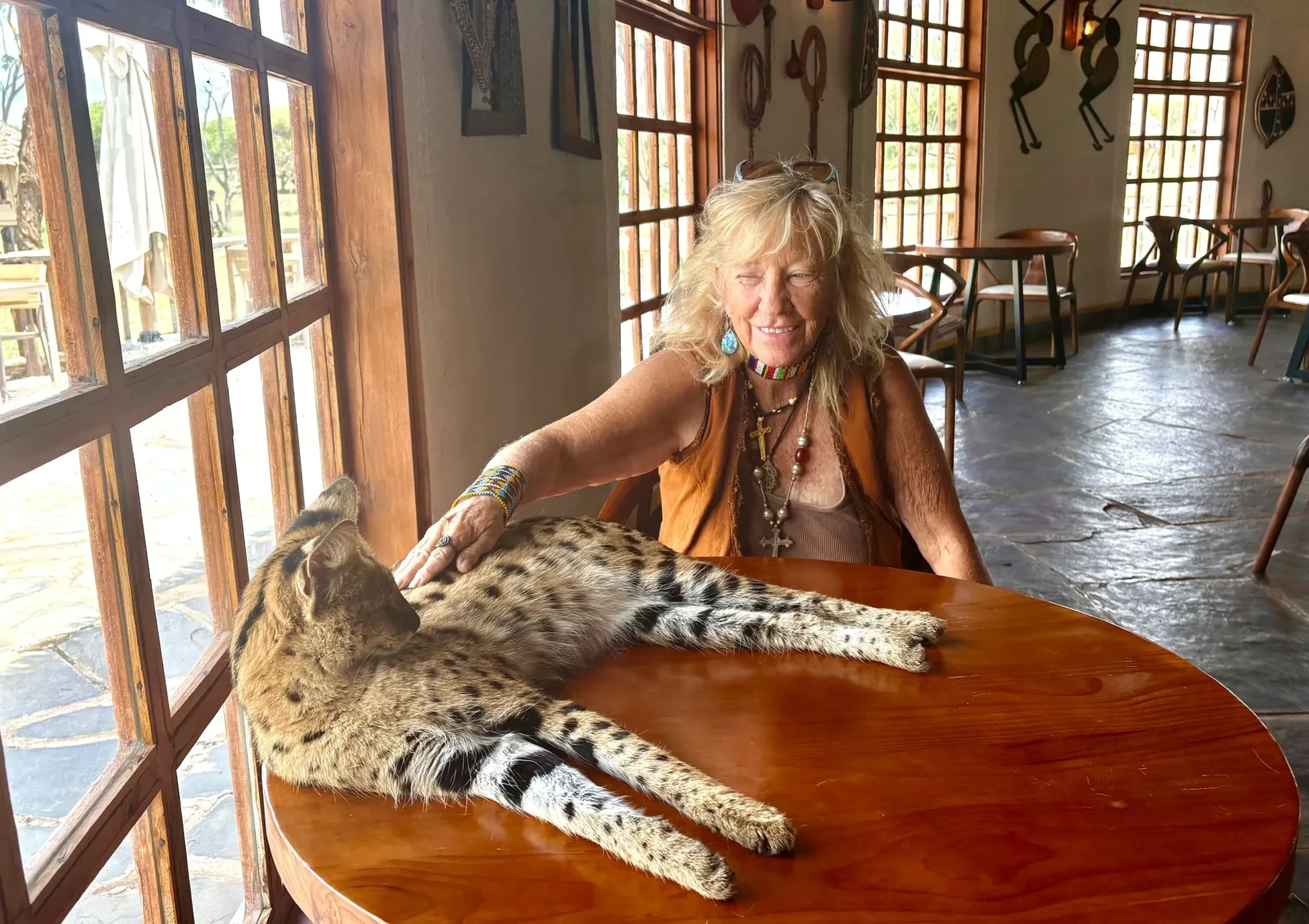 Woman petting a serval on wooden table.