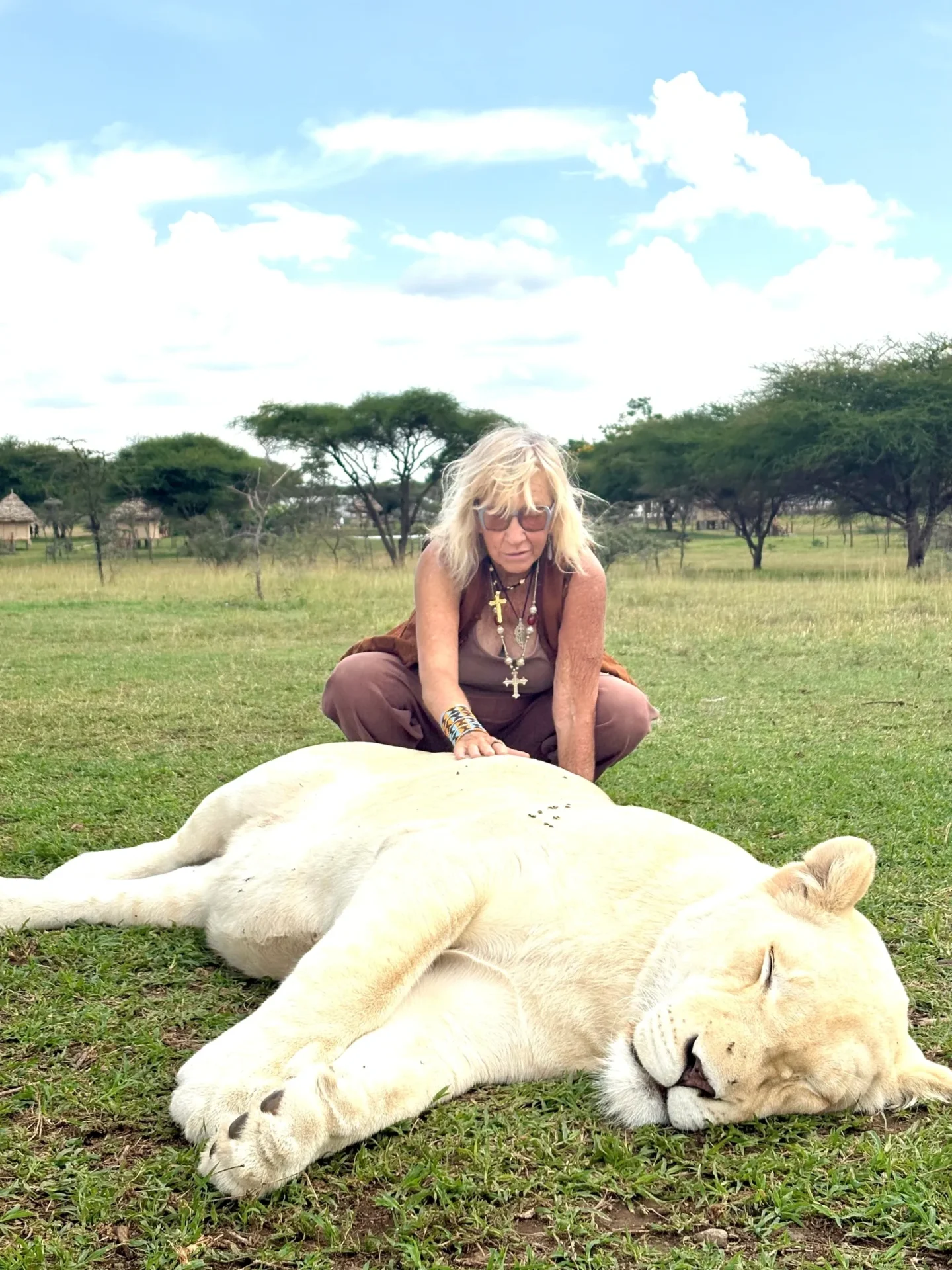 Woman sitting behind a sleeping white lion.